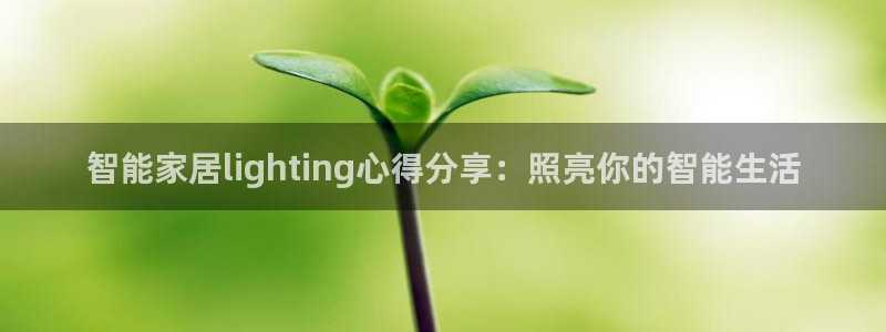 云顶国际高中学费多少