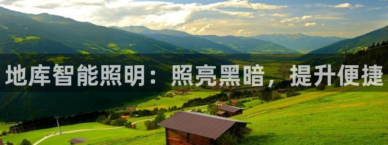 云顶dl