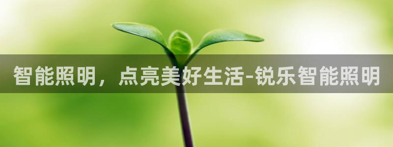 云顶国际app官方网站