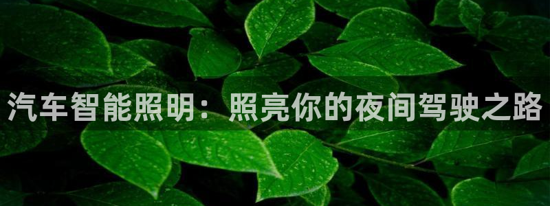 云顶国际测试服免费领取