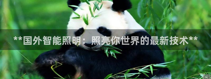 云顶集团董事长林东简历介绍