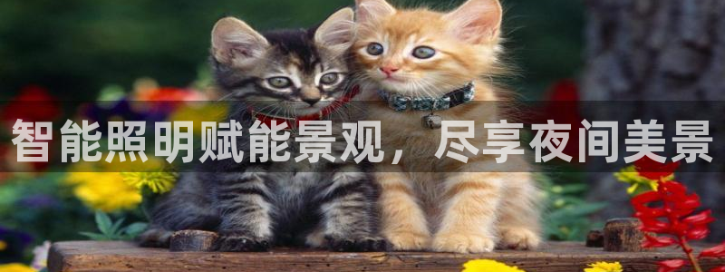 云顶国际威尼斯