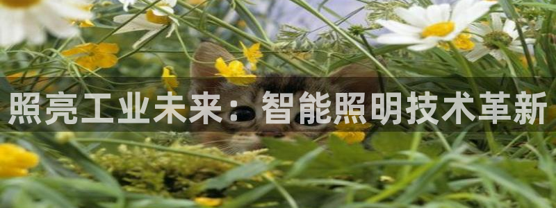 云顶国际服手游
