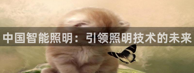 云顶网站是多少