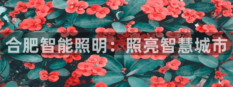云顶集团下载app