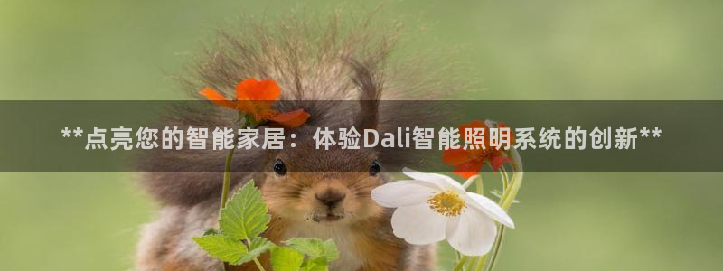 云顶国际官网登录