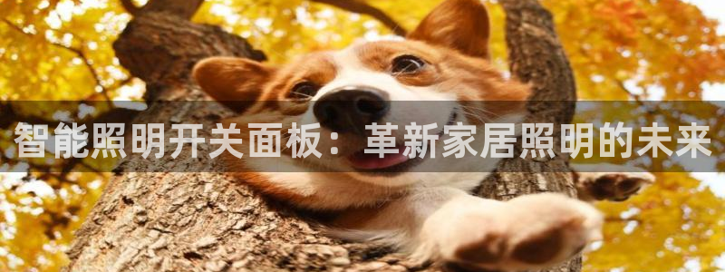 云顶国际服更新s11了吗