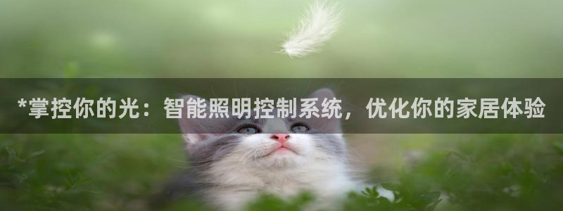 云顶国际旅行社官网