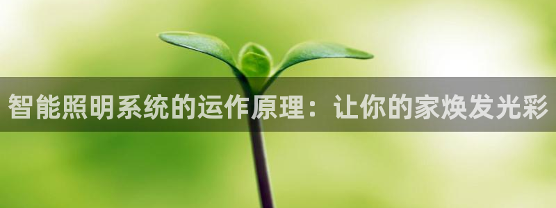 云顶国际app官方