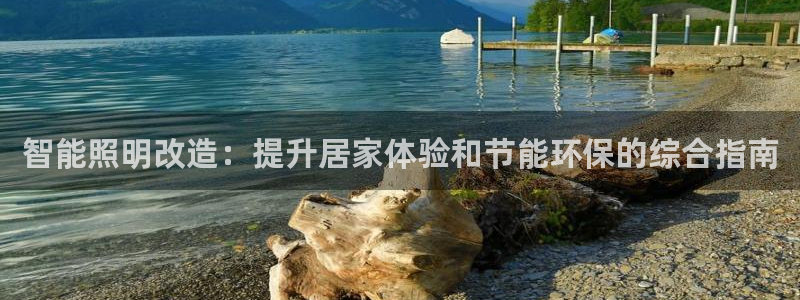 云顶国际公馆户型图