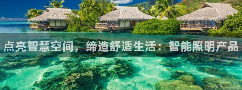 云顶集团网投领