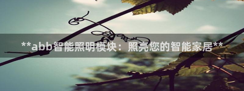 云顶国际滑雪场开放时间