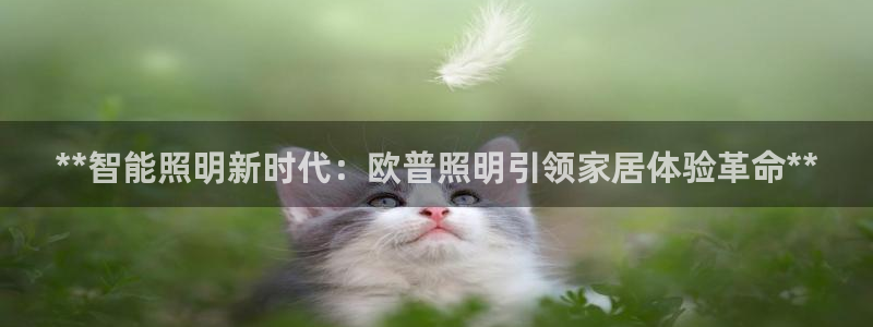 云顶国际官网官方