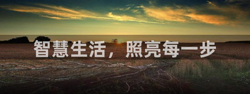 云顶国际服下载
