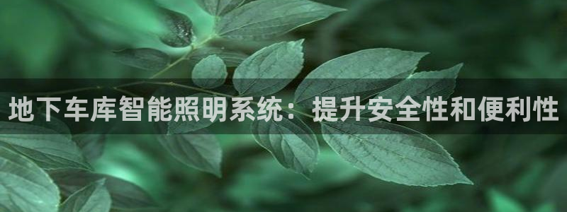 云顶国际