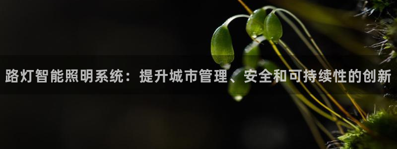 云顶国际商业广场A座101室