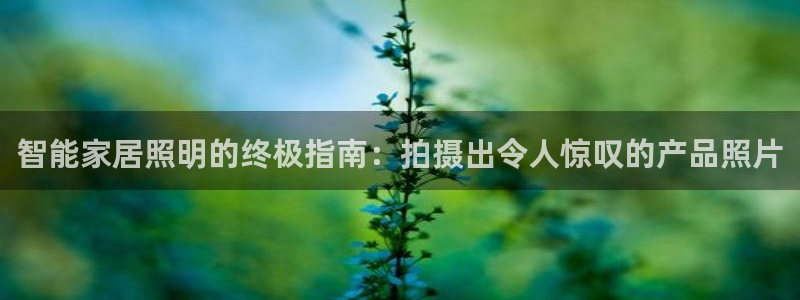 云顶国际服s11什么时候更新