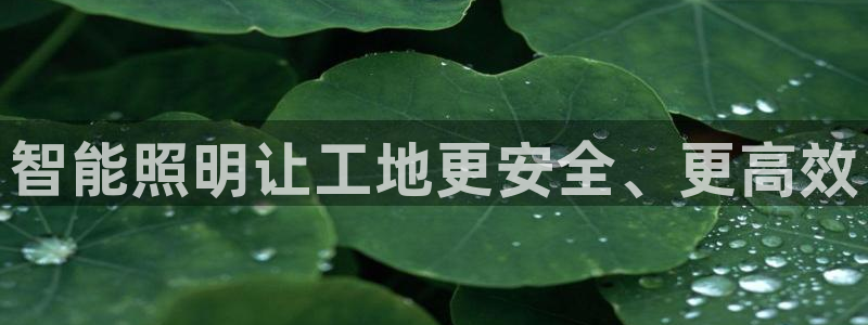 云顶电子游戏平台