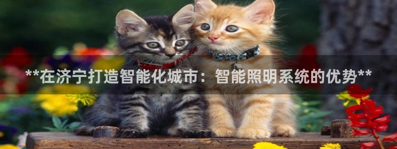 云顶国际酒店位置在哪