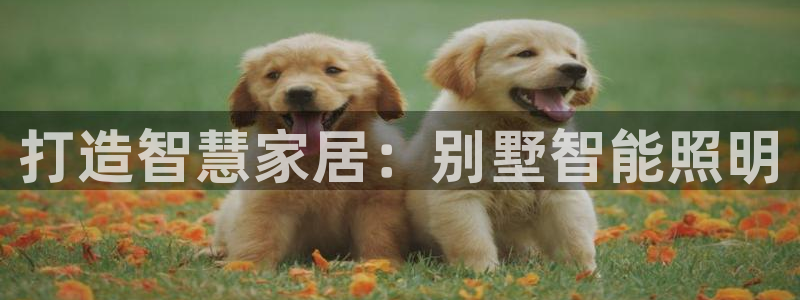 上海云顶国际会所有什么服务