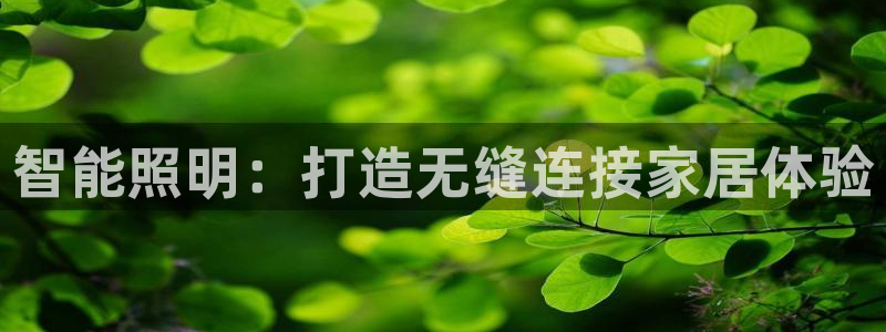 云顶国际足球app下载安卓