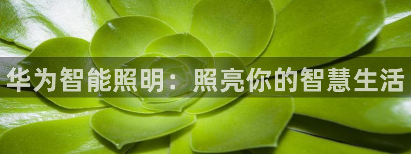 云顶国际钱取不出来
