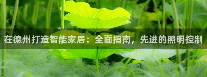 云顶28官网下载