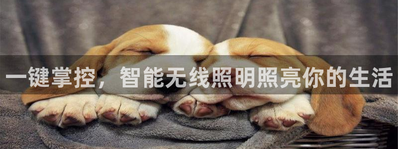 云顶国际音乐会
