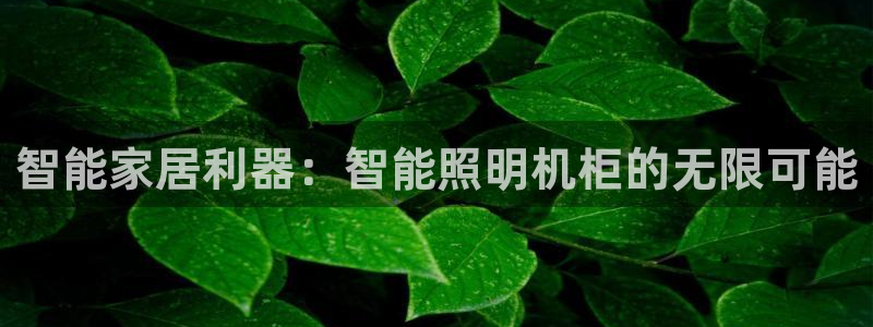 云顶集团在哪
