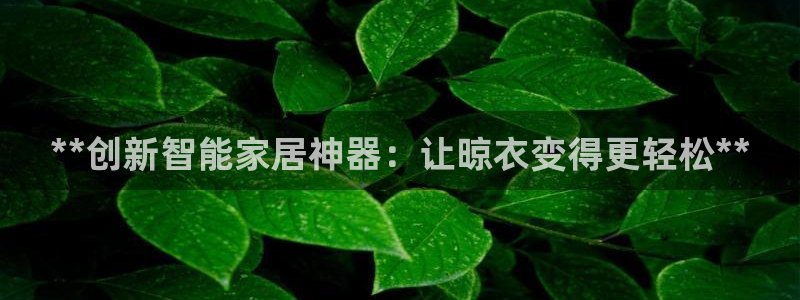 云顶400