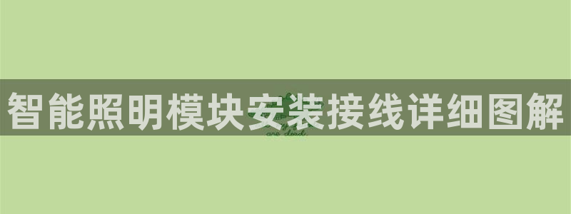 云顶国际网页版官网