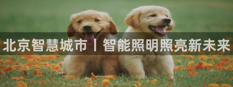 云顶国际商业广场A座101室
