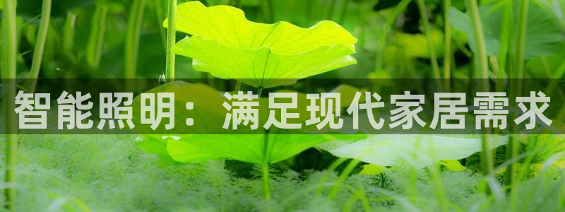云顶国际服什么时候更新s119
