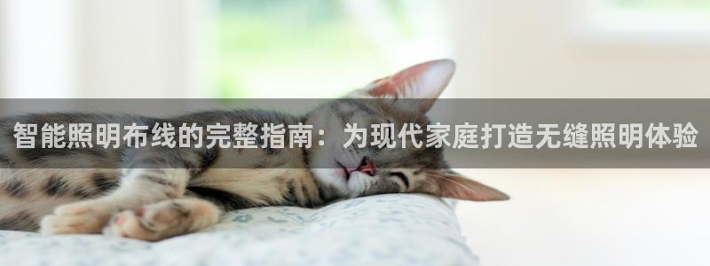 云顶国际服和端游互通吗