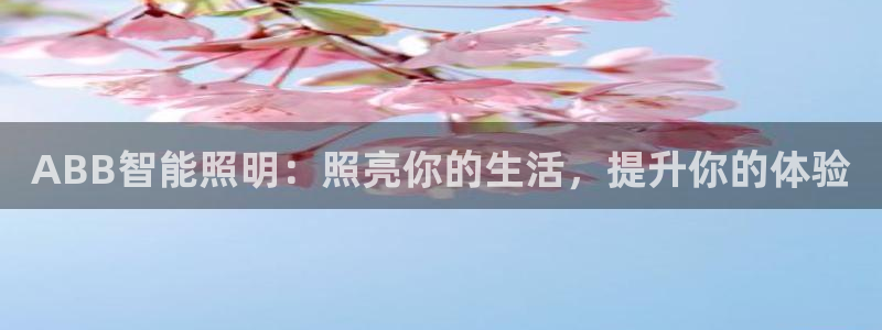 云顶集团app