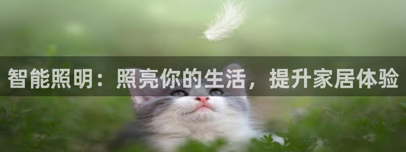 云顶国际游戏网址大全