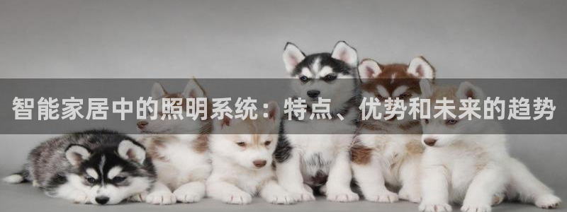 云顶国际提现多久到账