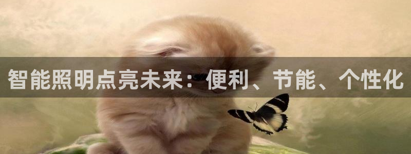 云顶集团董事长林东简历介绍