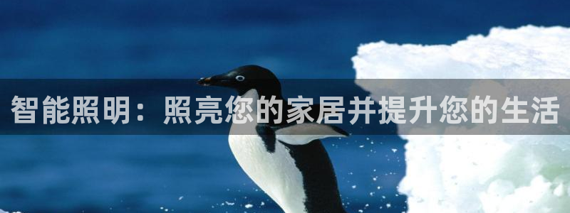 云顶国际会所