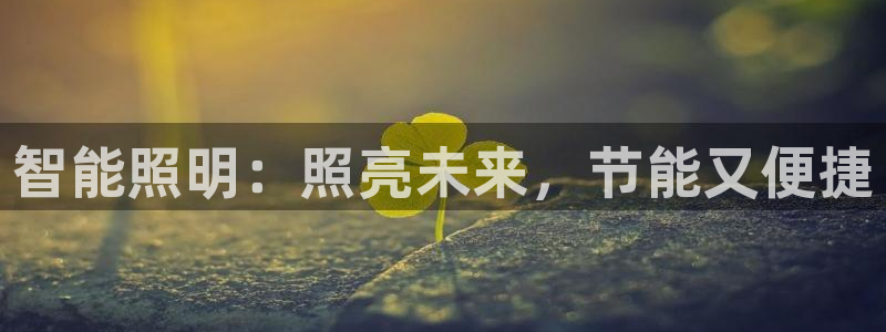 云顶集团董事长林东简历照片