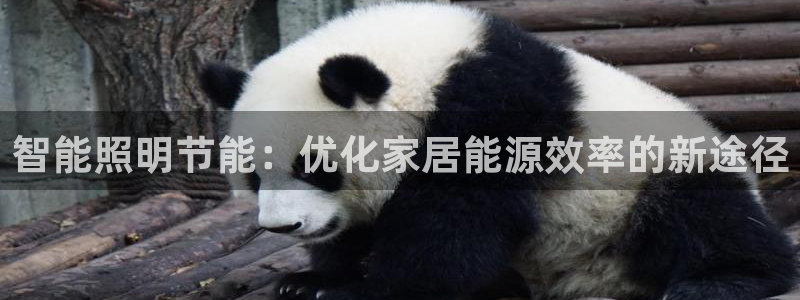 云顶国际服服务端错误