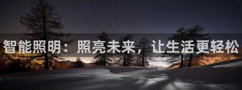 云顶国际是什么公司