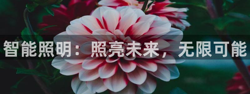云顶集团welcome官网