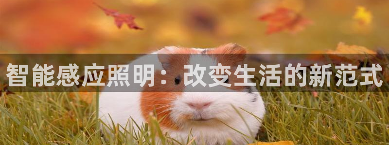 云顶集团电话