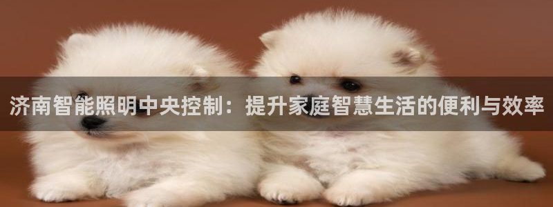 云顶国际app官方