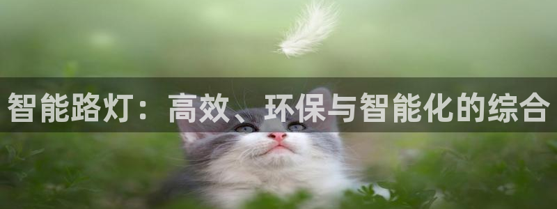 云顶集团在哪里