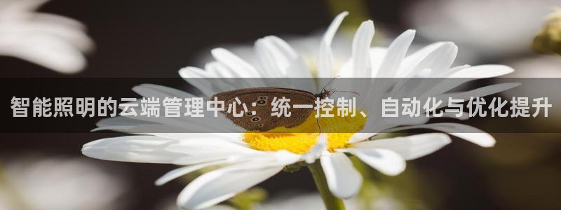 云顶国际下载地址