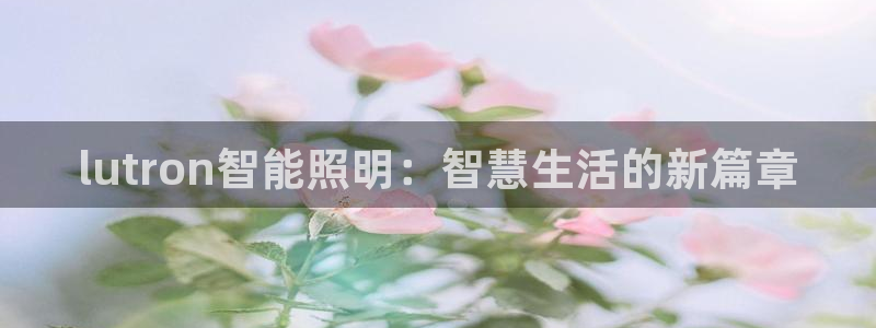 云顶集团官网电话号码