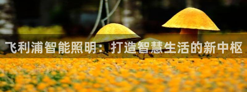 云顶国际是个什么平台