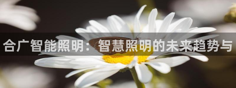 云顶国际软装公司怎么样知乎